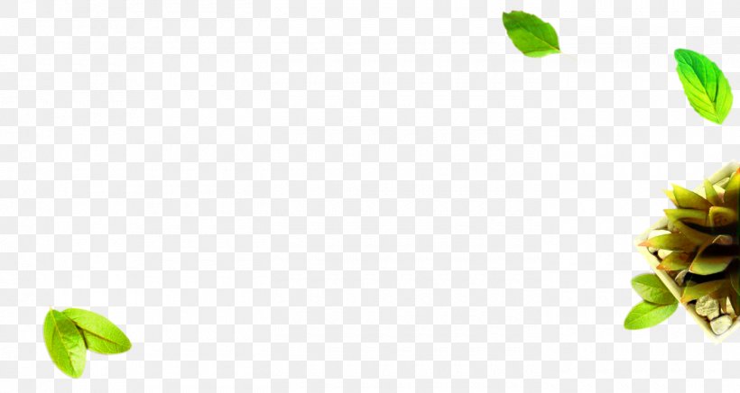 Green Leaf Background, PNG, 1400x746px, Petal, Branch, Bud, Computer, Flower Download Free