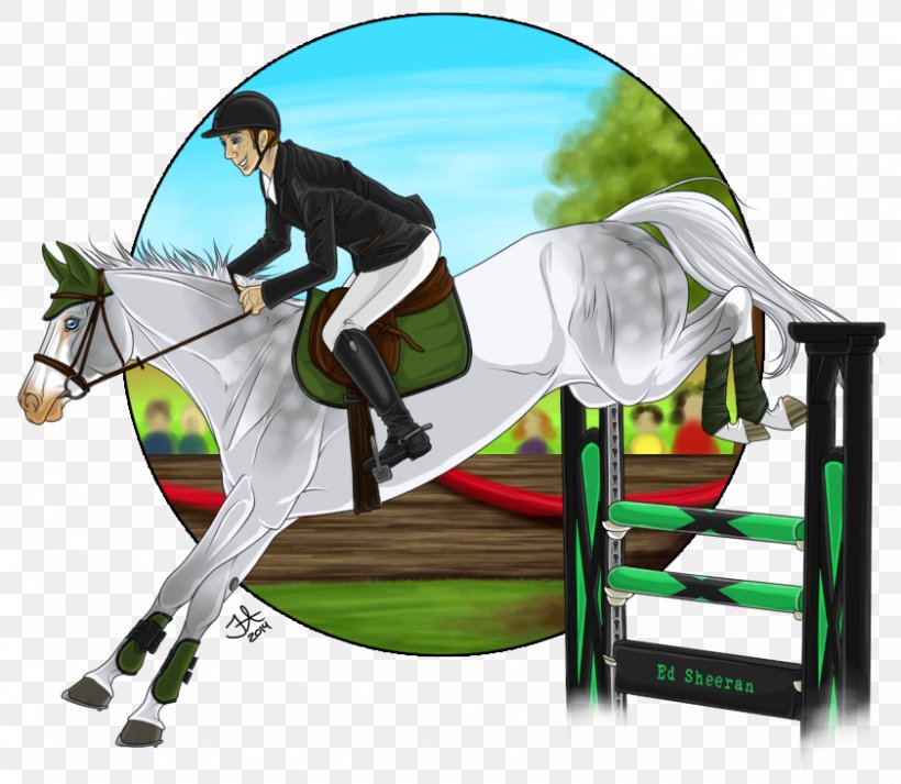 Show Jumping Hunt Seat Rein Stallion Equitation, PNG, 841x732px, Show Jumping, Animal Sports, Bit, Bridle, English Riding Download Free