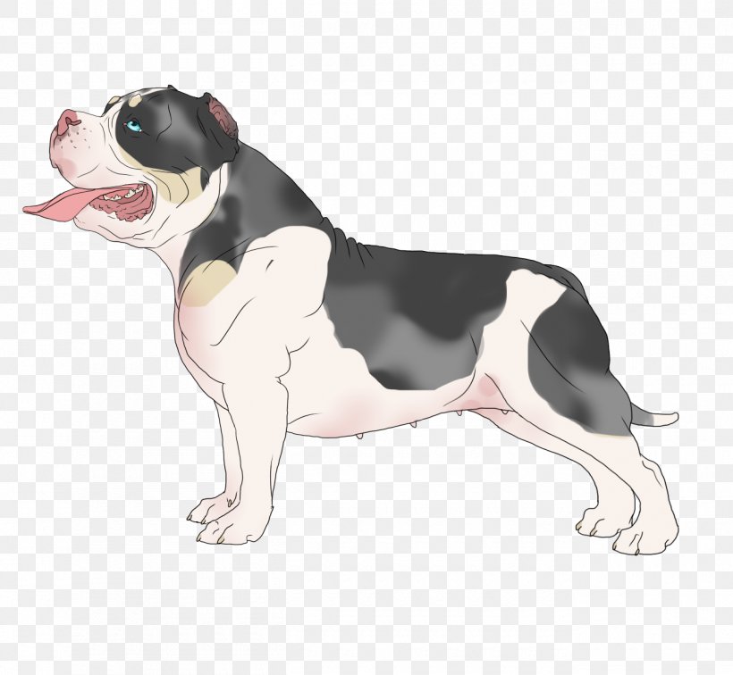 Boston Terrier Puppy Dog Breed Non-sporting Group Snout, PNG, 1300x1200px, Boston Terrier, Breed, Carnivoran, Dog, Dog Breed Download Free
