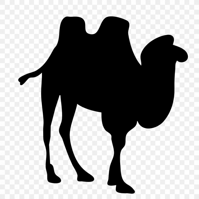 Dromedary Bactrian Camel Silhouette Clip Art, PNG, 1000x1000px, Dromedary, Arabian Camel, Bactrian Camel, Black And White, Camel Download Free