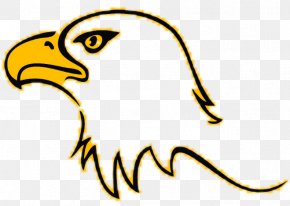 Atlanta Hawks Bald Eagle Sacopee Valley High School Clip Art, PNG ...