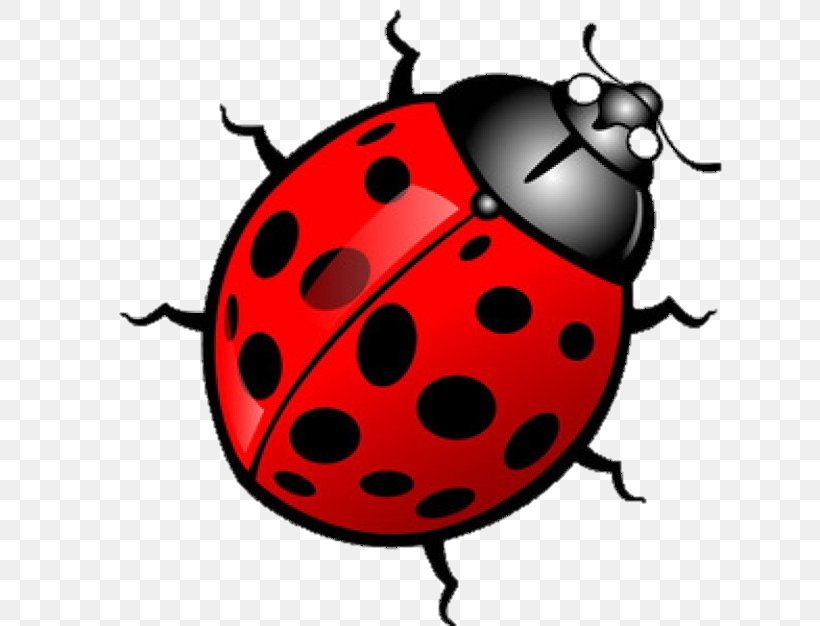 Ladybird Clip Art, PNG, 626x626px, Ladybird, Artwork, Beetle, Insect, Invertebrate Download Free