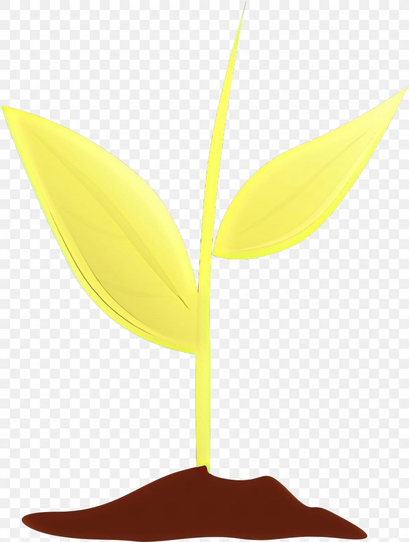 Leaf Yellow Plant Tree Flower, PNG, 1786x2371px, Cartoon, Anthurium, Flower, Leaf, Plant Download Free