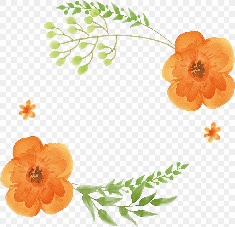 Watercolor: Flowers Orange Watercolor Painting, PNG, 2717x2626px, Watercolor Flowers, Citrus Xd7 Sinensis, Drawing, Floral Design, Flower Download Free