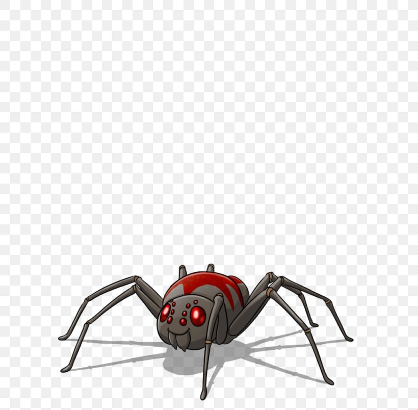 Insect Black Widow, PNG, 804x804px, Insect, Arachnid, Arthropod, Black Widow, Invertebrate Download Free