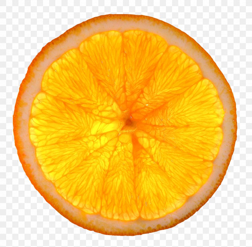 Orange Slice Citrus Health Quesadilla, PNG, 1836x1799px, Orange, Chocolate, Citrus, Drink, Food Download Free