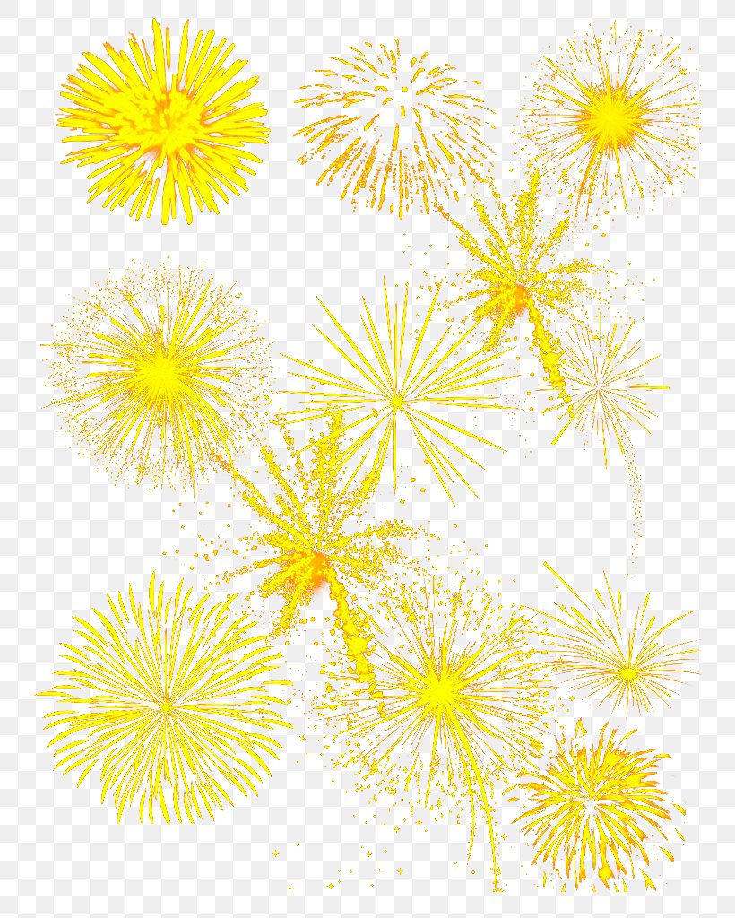 Fireworks Computer File, PNG, 744x1024px, Fireworks, Artificier, Branch, Chrysanths, Dahlia Download Free