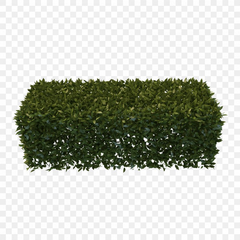 Hedge Garden Shrub Pruning, PNG, 2000x2000px, 3d Computer Graphics, Hedge, Artificial Turf, Background Process, Evergreen Download Free