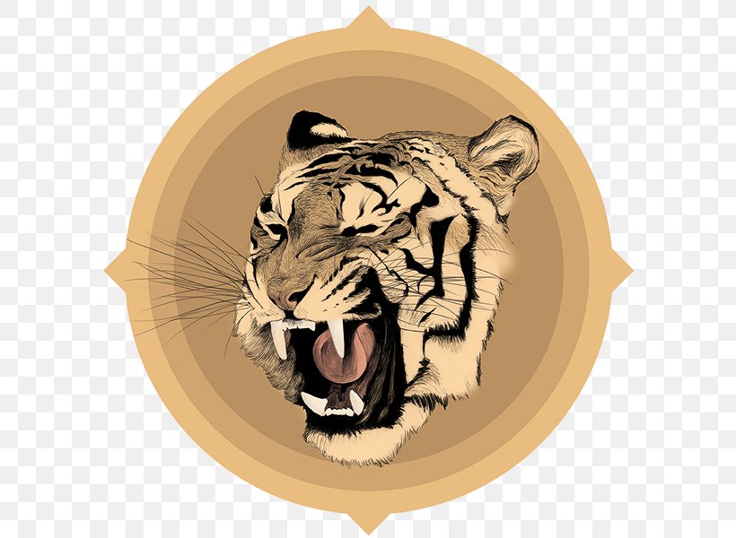 Tiger Drawing Chamo Roar, PNG, 600x600px, Tiger, Artist, Ballpoint Pen, Barcelona, Big Cat Download Free