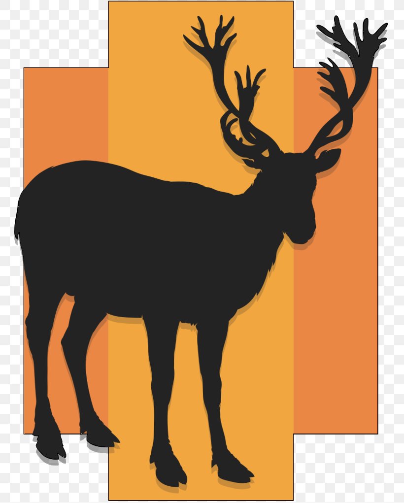Reindeer Elk Clip Art Illustration Antler, PNG, 774x1021px, Reindeer, Antelope, Antler, Deer, Elk Download Free