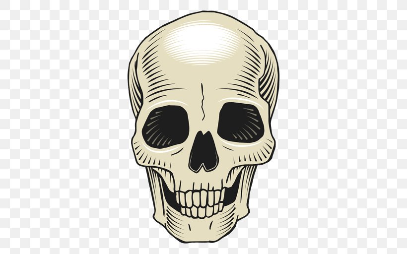 Skull Bone Drawing, PNG, 512x512px, Skull, Art, Bone, Drawing, Head Download Free