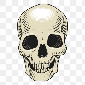 Skull Aesthetics Drawing Skeleton, PNG, 468x601px, Skull, Aesthetics ...