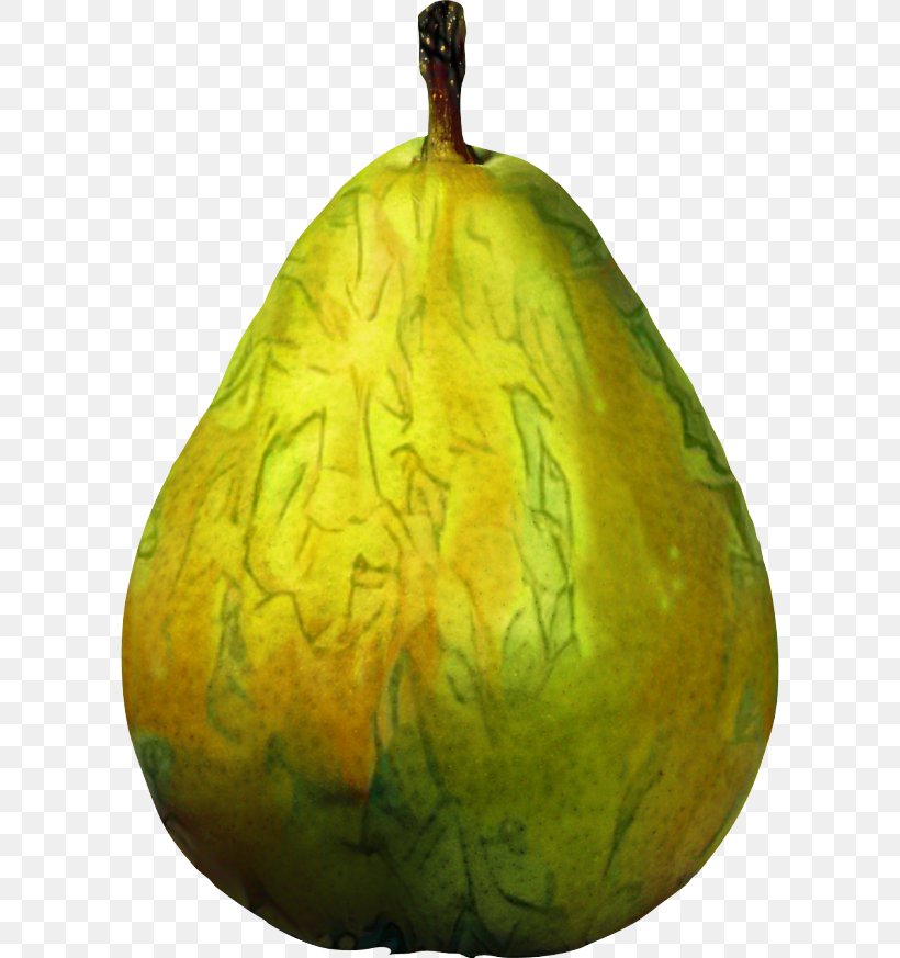 Winter Tree, PNG, 600x873px, Gourd, Calabaza, Food, Fruit, Pear Download Free