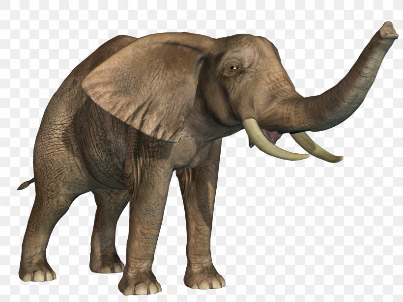 African Elephant Indian Elephant, PNG, 2500x1875px, African Elephant, Animal, Elephant, Elephants And Mammoths, Fauna Download Free