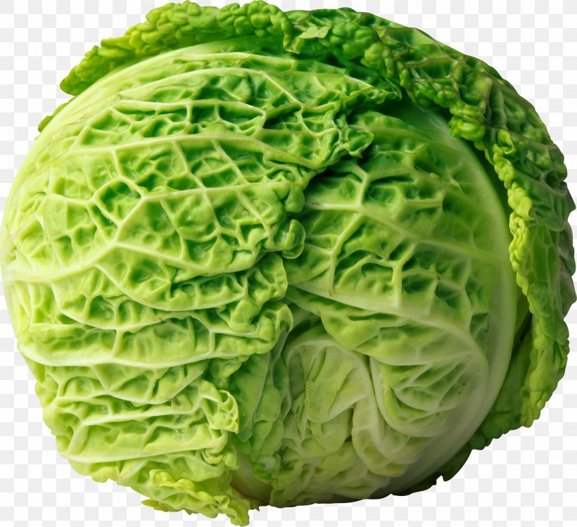 Cabbage Roll Coleslaw Red Cabbage, PNG, 2661x2432px, Cabbage, Brassica Oleracea, Brussels Sprout, Cabbage Roll, Cauliflower Download Free