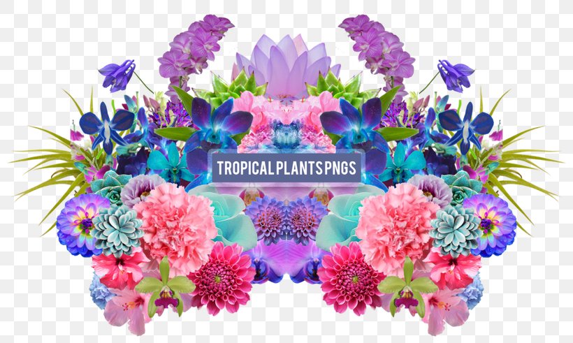 Desktop Wallpaper Floral Design Aesthetics, PNG, 800x491px, Floral Design, Aesthetics, Artificial Flower, Cut Flowers, Floristry Download Free