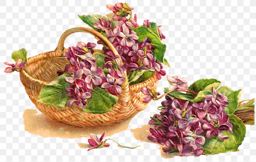 Flower Basket Violet Clip Art, PNG, 1600x1018px, Flower, Basket, Birthday, Cut Flowers, Floral Design Download Free