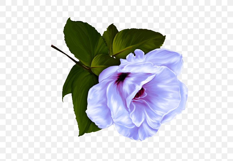 Flower Garden Roses Desktop Wallpaper Png 600x567px Flower Aspect Ratio Datura Decoupage Display Resolution Download Free