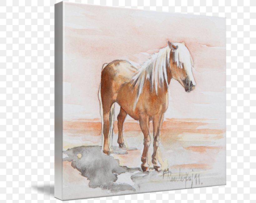 Mustang Stallion Mare Foal Watercolor Painting, PNG, 644x650px, Mustang, Fauna, Foal, Horse, Horse Like Mammal Download Free