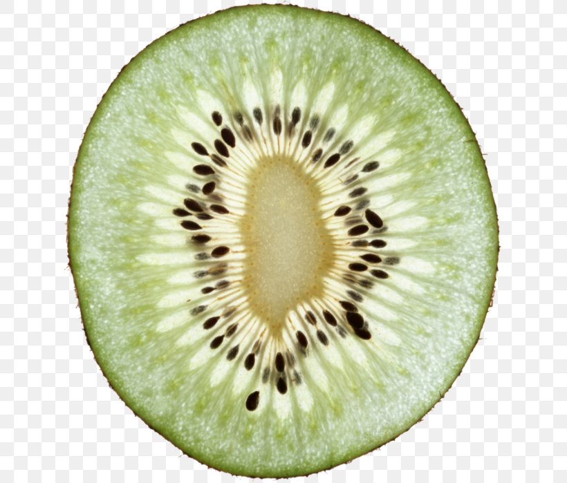 Clip Art Kiwifruit Image, PNG, 637x699px, Fruit, Actinidia Deliciosa, Berries, Food, Kiwi Download Free