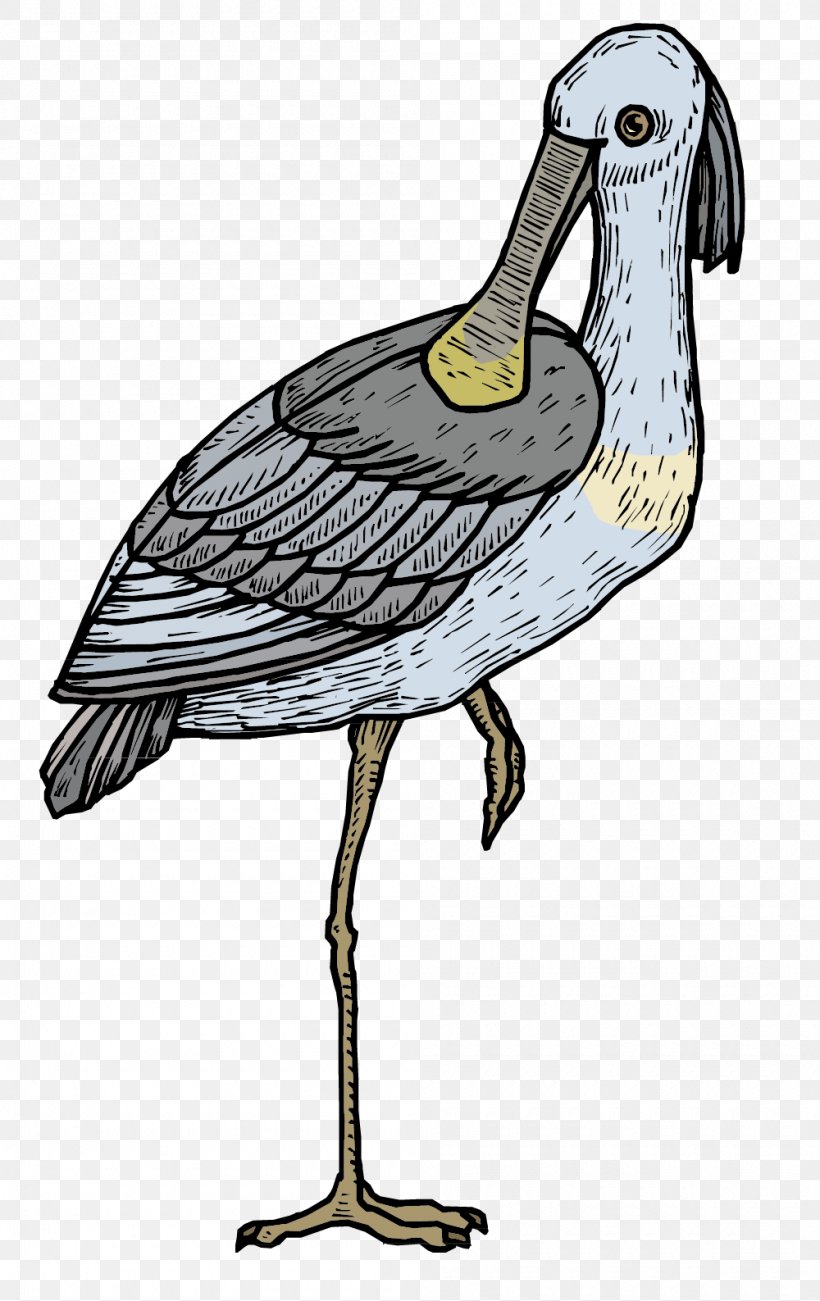 Duck Cartoon Rhinoceros Illustration, PNG, 1000x1587px, Duck, Animal, Art, Beak, Bird Download Free