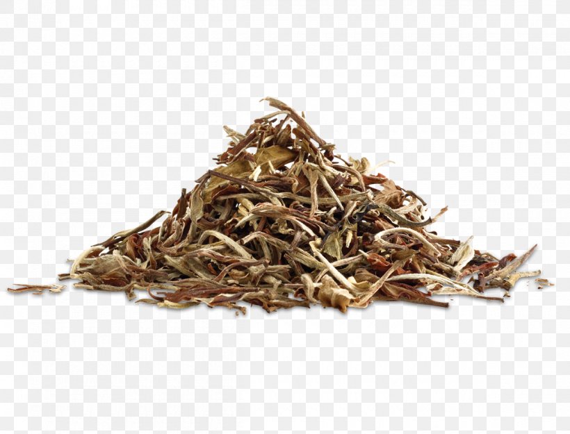 White Tea Golden Monkey Tea Dianhong Nilgiri Tea, PNG, 1200x915px, White Tea, Assam Tea, Bai Mudan, Baihao Yinzhen, Bancha Download Free