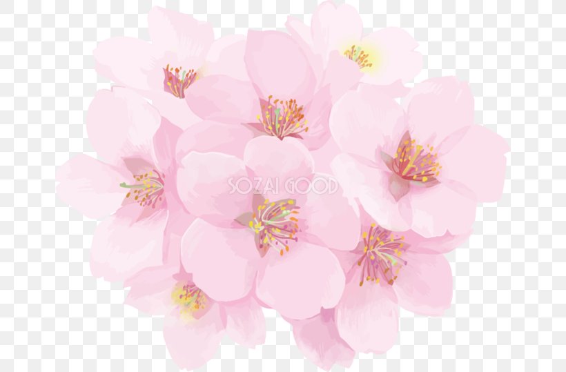 Cherry Blossom Flower, PNG, 660x539px, Watercolor, Cartoon, Flower, Frame, Heart Download Free