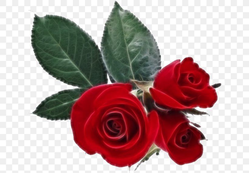 Love Marriage Rose Romance Flower, PNG, 640x568px, Love, Artificial Flower, Cut Flowers, Feeling, Floribunda Download Free