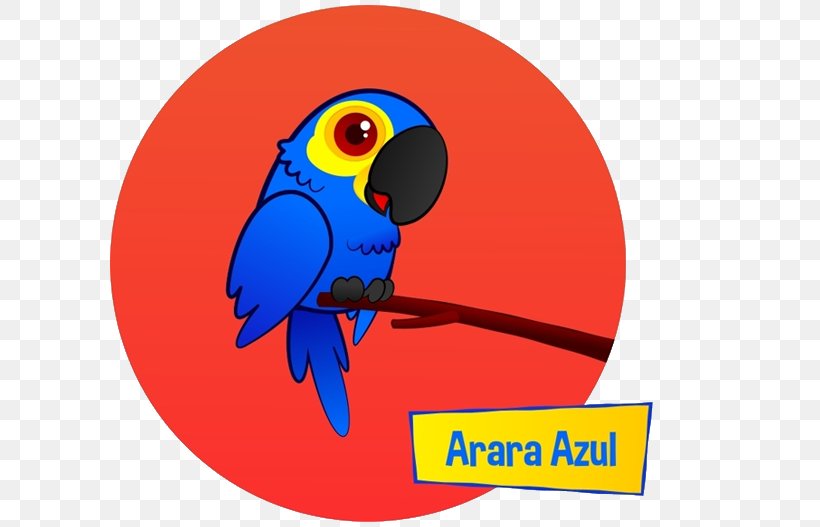 Macaw Cobalt Blue Beak Clip Art, PNG, 610x527px, Macaw, Beak, Bird, Blue, Cobalt Download Free