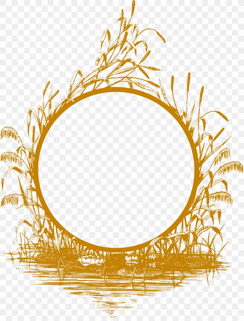 Picture Frames Drawing Clip Art, PNG, 1825x2400px, Picture Frames, Drawing, Flower, Gold, Information Download Free