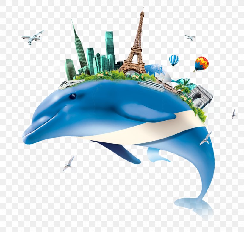 Dolphin Clip Art Image Download, PNG, 1240x1176px, Dolphin, Aqua, Computer Network, Coreldraw, Fish Download Free