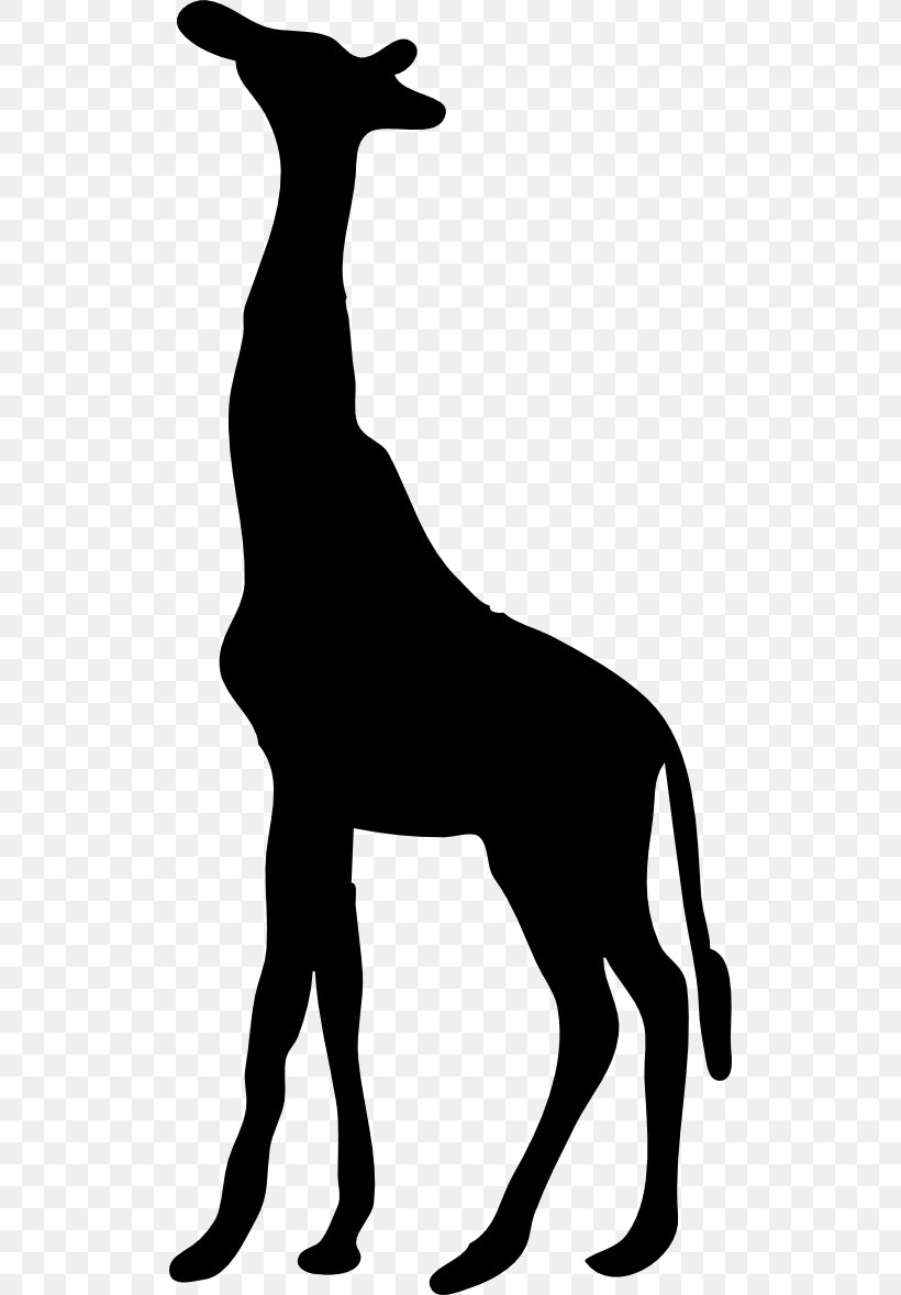 Silhouette Northern Giraffe West African Giraffe Clip Art, PNG, 512x1179px, Silhouette, Art, Black, Black And White, Deer Download Free
