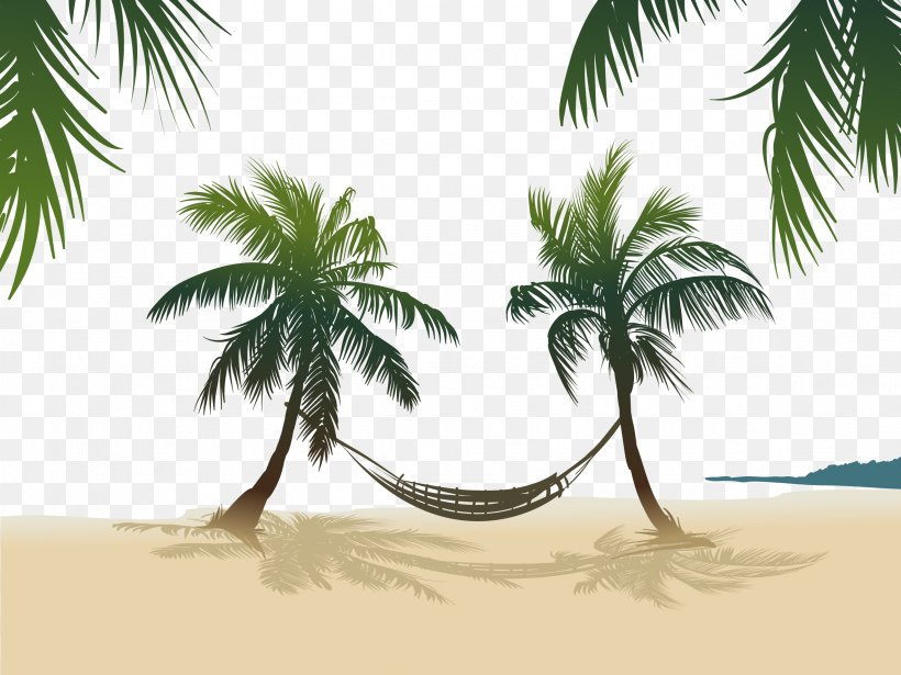 Arecaceae Stock Photography Royalty-free, PNG, 2362x1774px, Arecaceae, Arecales, Beach, Branch, Coconut Download Free