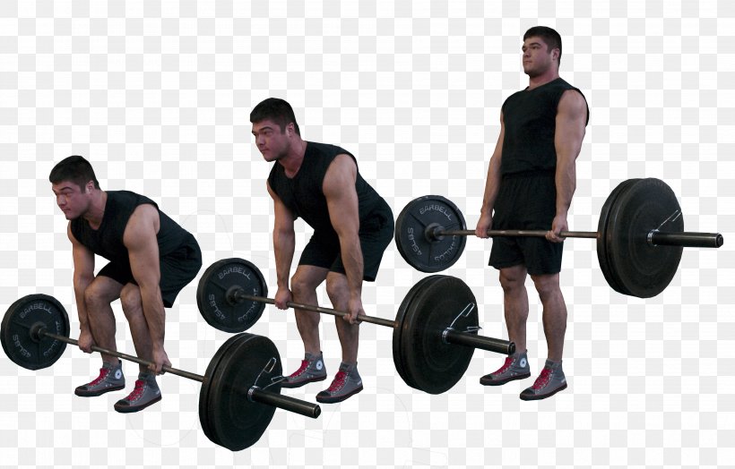 Deadlift Physical Exercise Muscle Olympic Weightlifting Squat, PNG, 3572x2284px, Deadlift, Arm, Barbell, Bench Press, Bentover Row Download Free