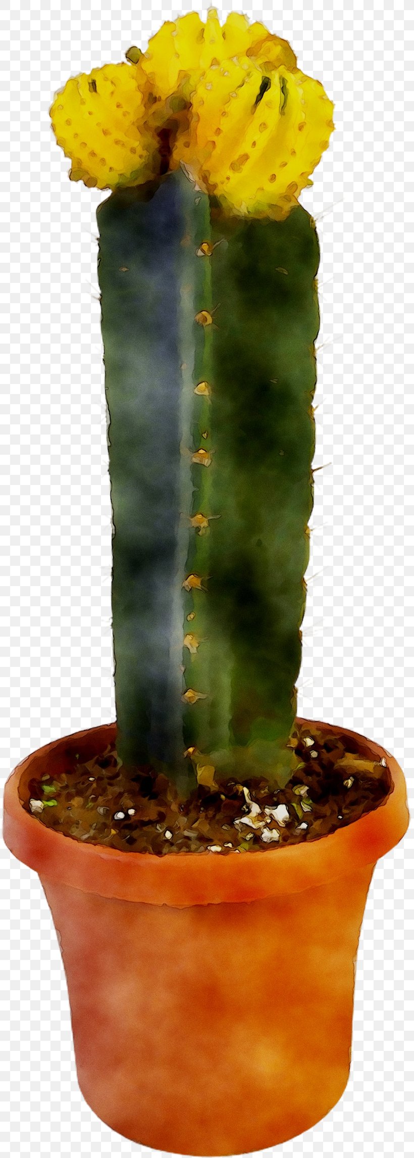 Eastern Prickly Pear Triangle Cactus Echinocereus Plant Stem, PNG, 815x2292px, Eastern Prickly Pear, Acanthocereus, Acanthocereus Tetragonus, Cactus, Caryophyllales Download Free