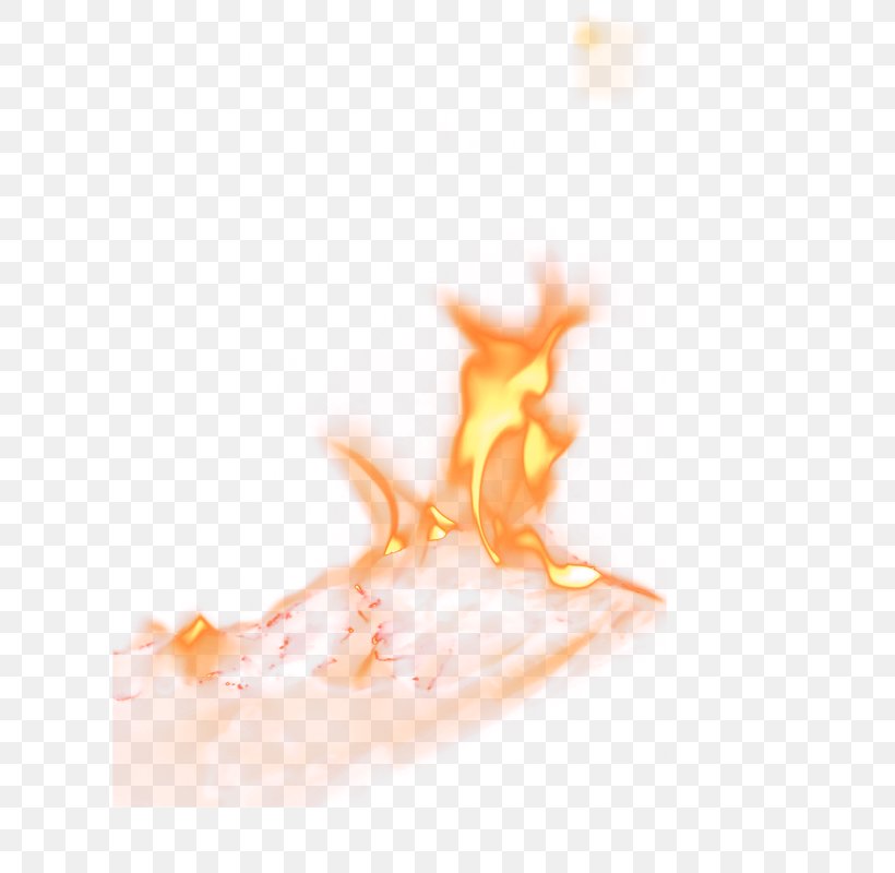 Fire, PNG, 800x800px, Flame, Combustion, Cool Flame, Explosion, Fire Download Free