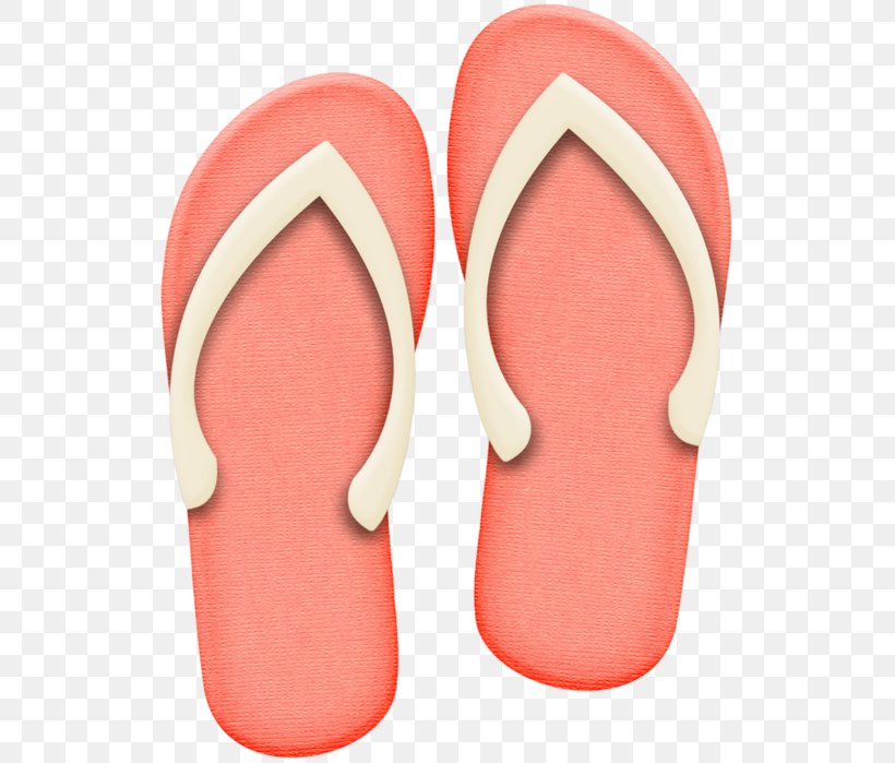 Flip-flops Slipper Footwear Shoe Sandal, PNG, 531x699px, Flipflops, Boot, Child, Flip Flops, Flower Download Free