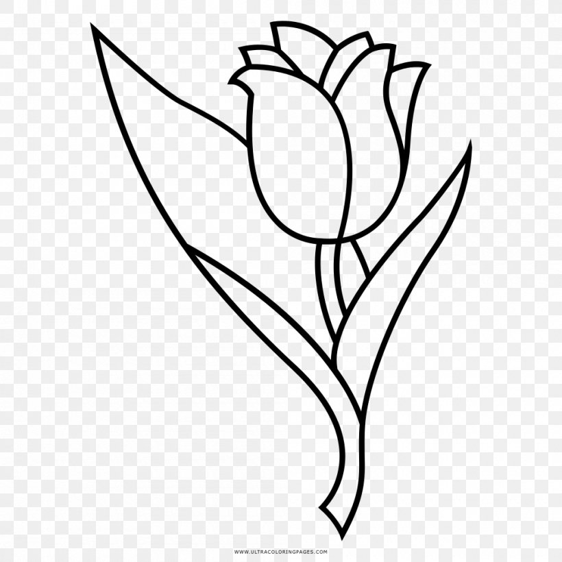 Floral Design Tulip Drawing Flower Coloring Book, PNG, 1000x1000px, Floral Design, Area, Art, Artwork, Black Download Free