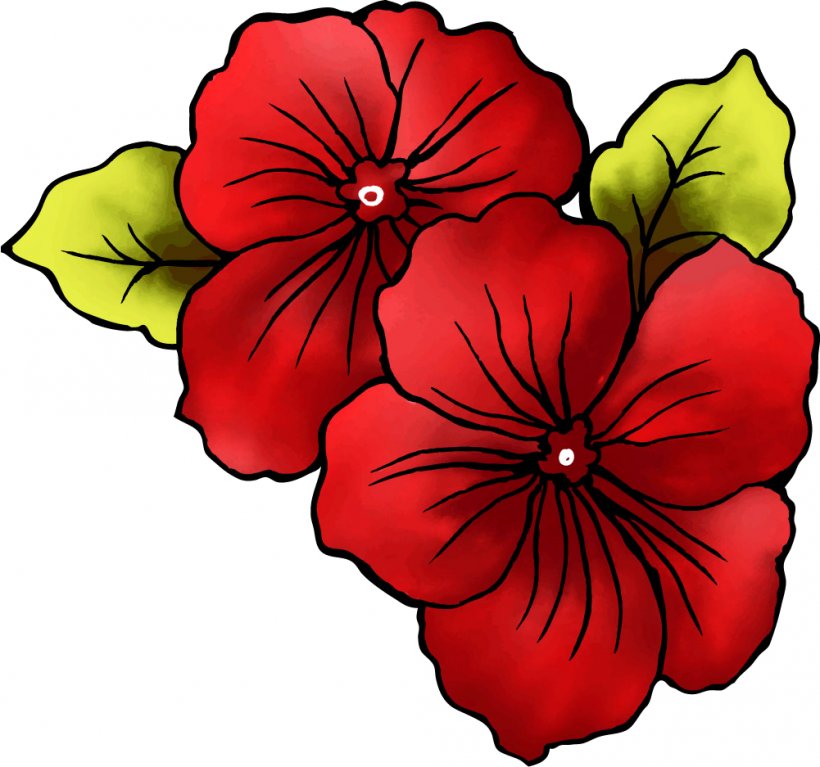 Petal Flower Poppy, PNG, 1001x937px, Petal, Annual Plant, Blue Rose, Colored Pencil, Cut Flowers Download Free