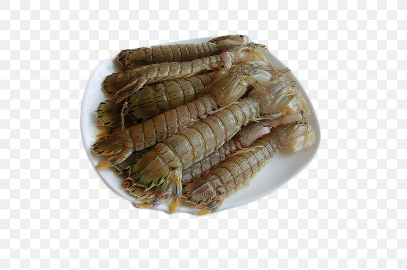 Seafood Mantis Shrimp Squillidae, PNG, 695x543px, Seafood, Animal Source Foods, Baidu Knows, Bathysquilloidea, Cooking Download Free