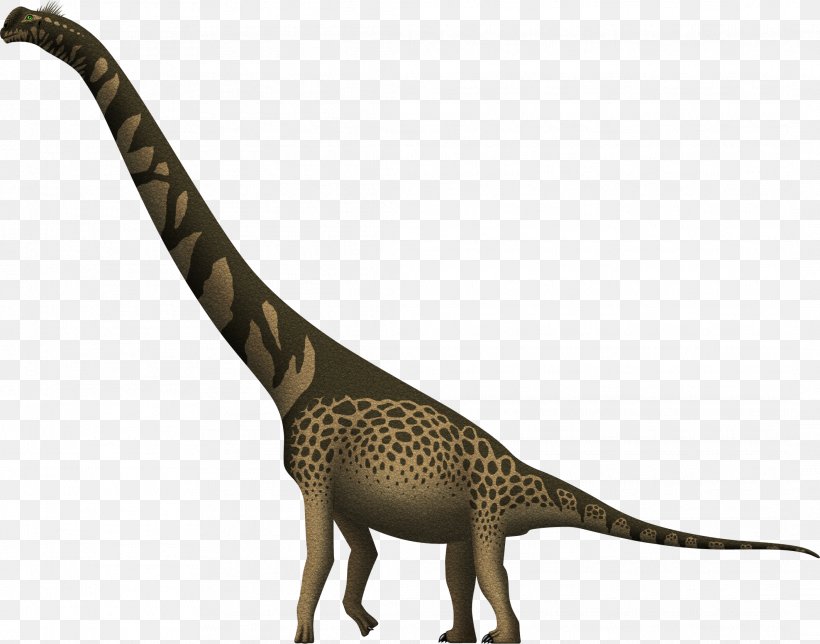 Cedarosaurus Giraffe Brachiosaurus Giraffatitan Barremian, PNG, 2124x1669px, Cedarosaurus, Animal Figure, Barremian, Brachiosaurus, Dinosaur Download Free