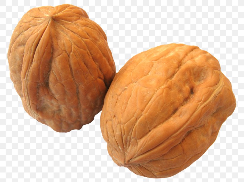 English Walnut, PNG, 800x612px, Walnut, Display Resolution, Drupe, English Walnut, Food Download Free