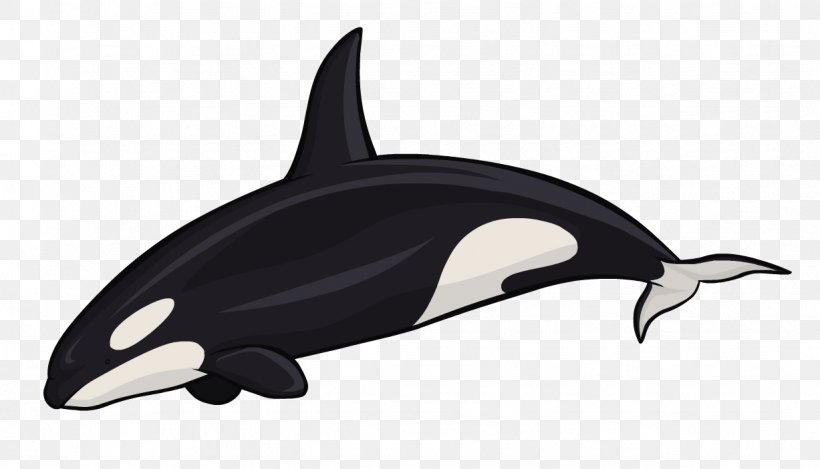 Killer Whale White-beaked Dolphin Cetacea Sea Otter, PNG, 1227x703px, Killer Whale, Automotive Design, Cetacea, Dolphin, Fin Download Free