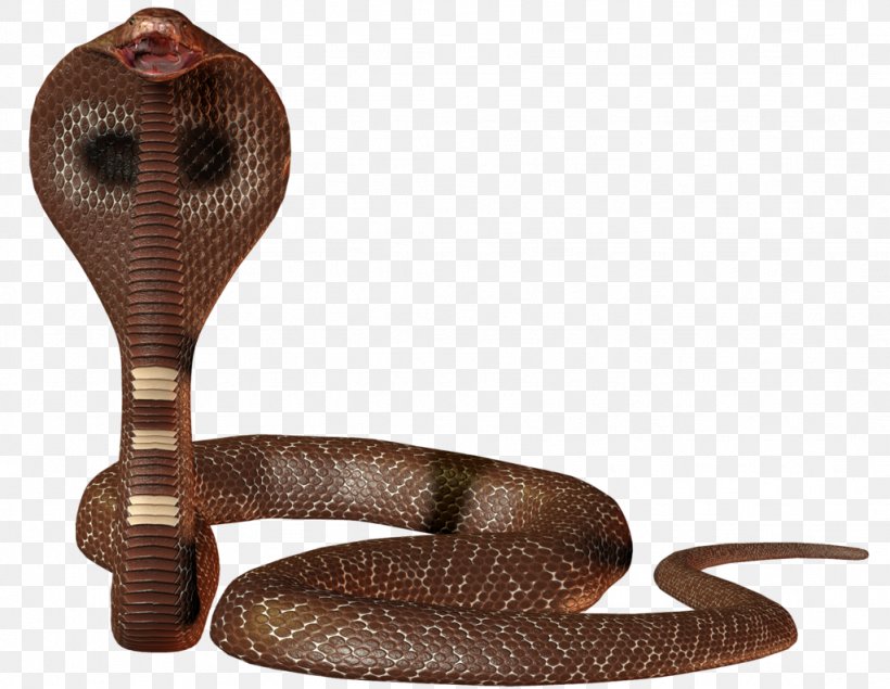 Snake Python Computer Programming Linux, PNG, 1024x794px, Snake, Cobra, Computer Program, Computer Programming, Computer Software Download Free