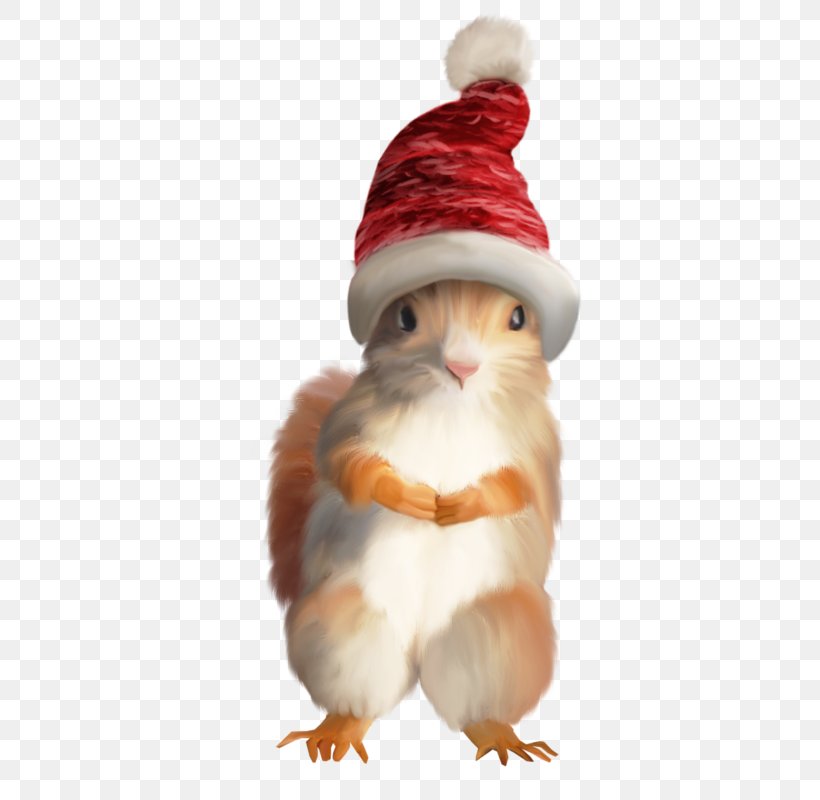 Squirrel Santa Claus Christmas Tree Christmas Ornament, PNG, 393x800px, Squirrel, Animal, Birthday, Christmas, Christmas Decoration Download Free