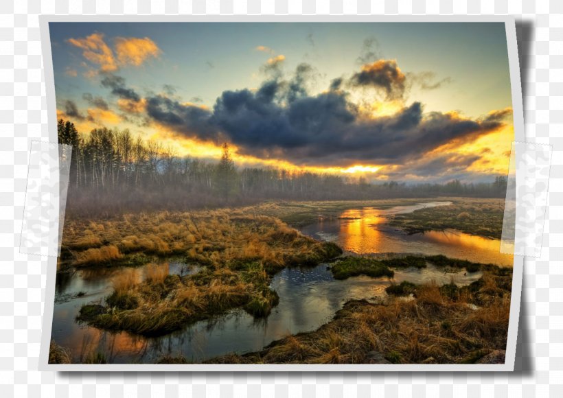 Wetland Landscape Sunset Desktop Wallpaper Swamps & Marshes, PNG, 1262x893px, Wetland, Bog, Cloud, Dawn, Drawing Download Free