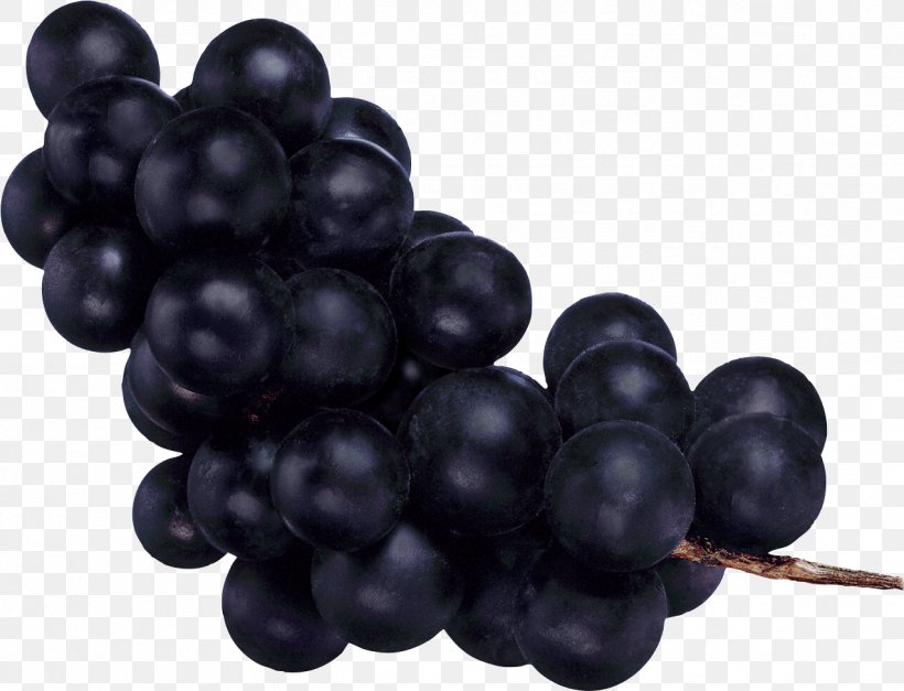 Common Grape Vine Fruit, PNG, 1275x975px, Common Grape Vine, Berry, Bilberry, Blueberry, Concord Grape Download Free