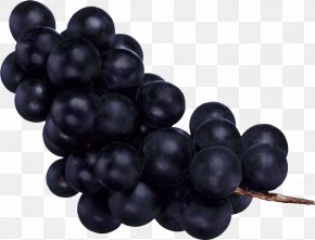 Grape Image - Common Grape Vine Fruit PNG
