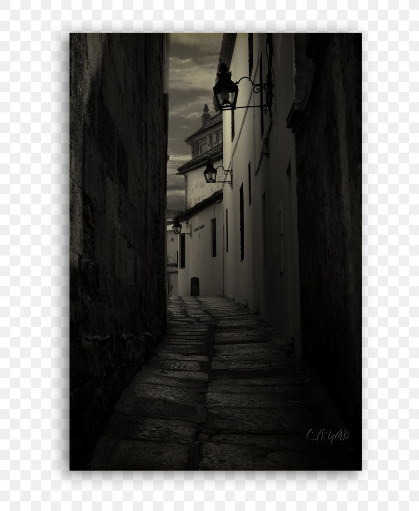 Stock Photography White, PNG, 736x1000px, Photography, Alley, Arch, Black And White, Monochrome Download Free