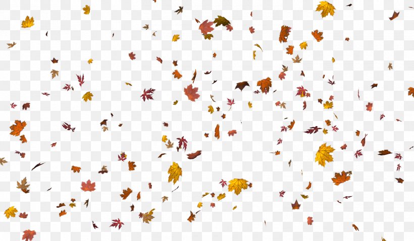 Autumn Leaf Color Layers Clip Art, PNG, 1500x875px, Autumn Leaf Color, Area, Autumn, Blend Modes, Layers Download Free